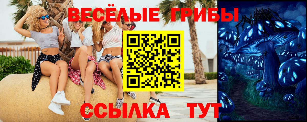 Галлюциногенные грибы GOLDEN TEACHER  Вход с VPN  Галлюциногенные грибы MAGIC MUSHROOMS  Обнинск 