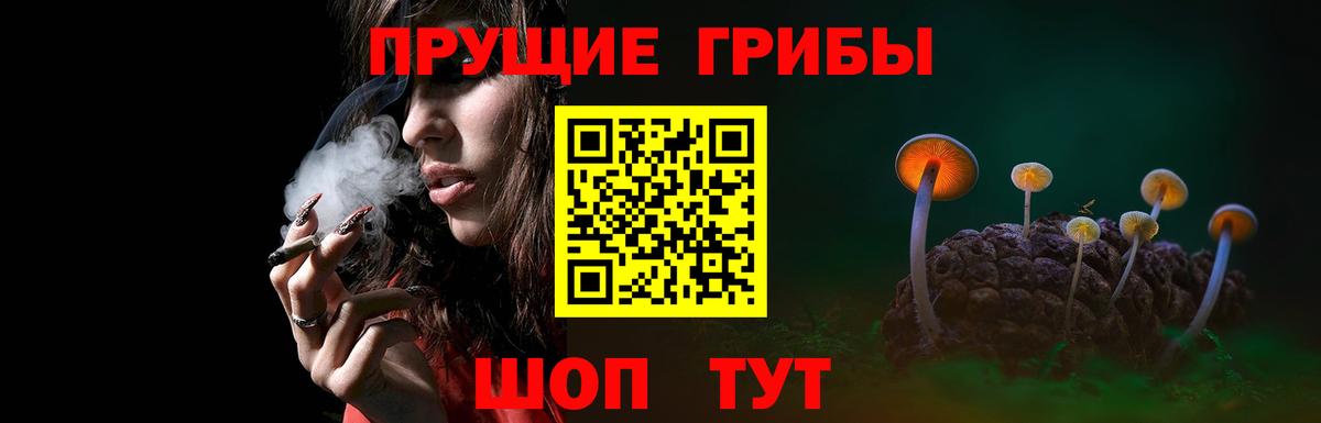 Псилоцибиновые грибы мицелий Обнинск